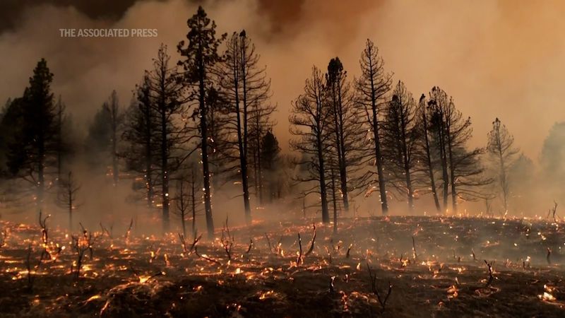 Kalifornie je v plamenech, lesní požár se šíří do dalších států USA